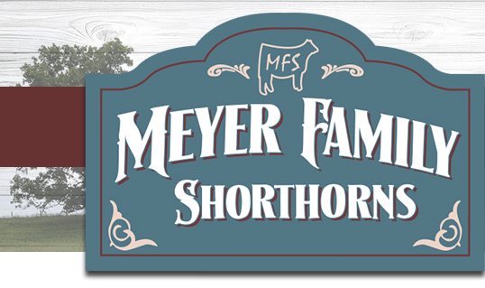 Meyer Family Shorthorns
