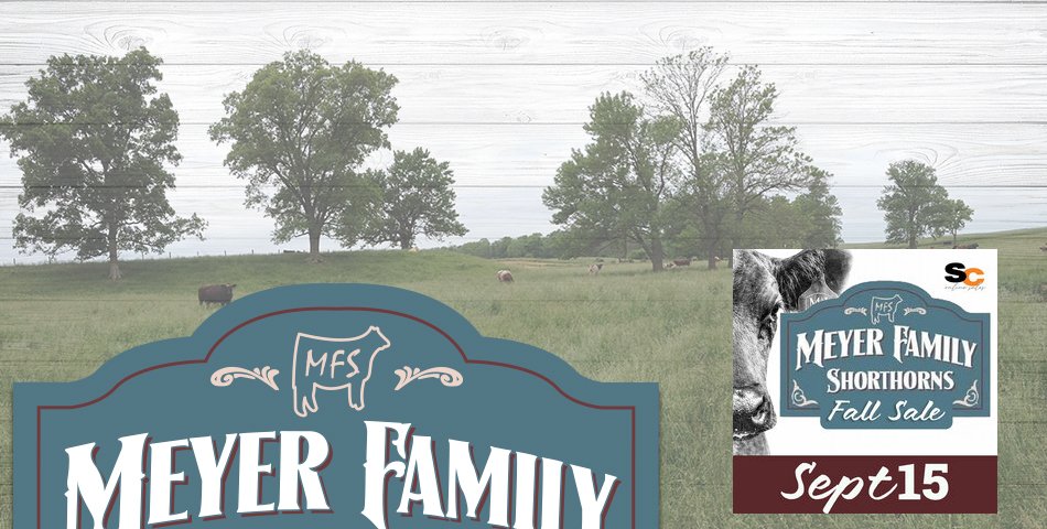 Meyer Family Shorthorns