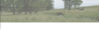 Meyer Family Shorthorns
